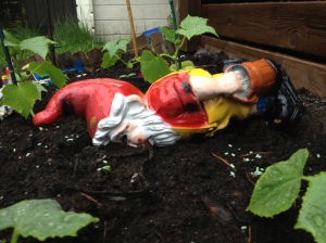 Herr Gartenzwerg, my garden gnome.